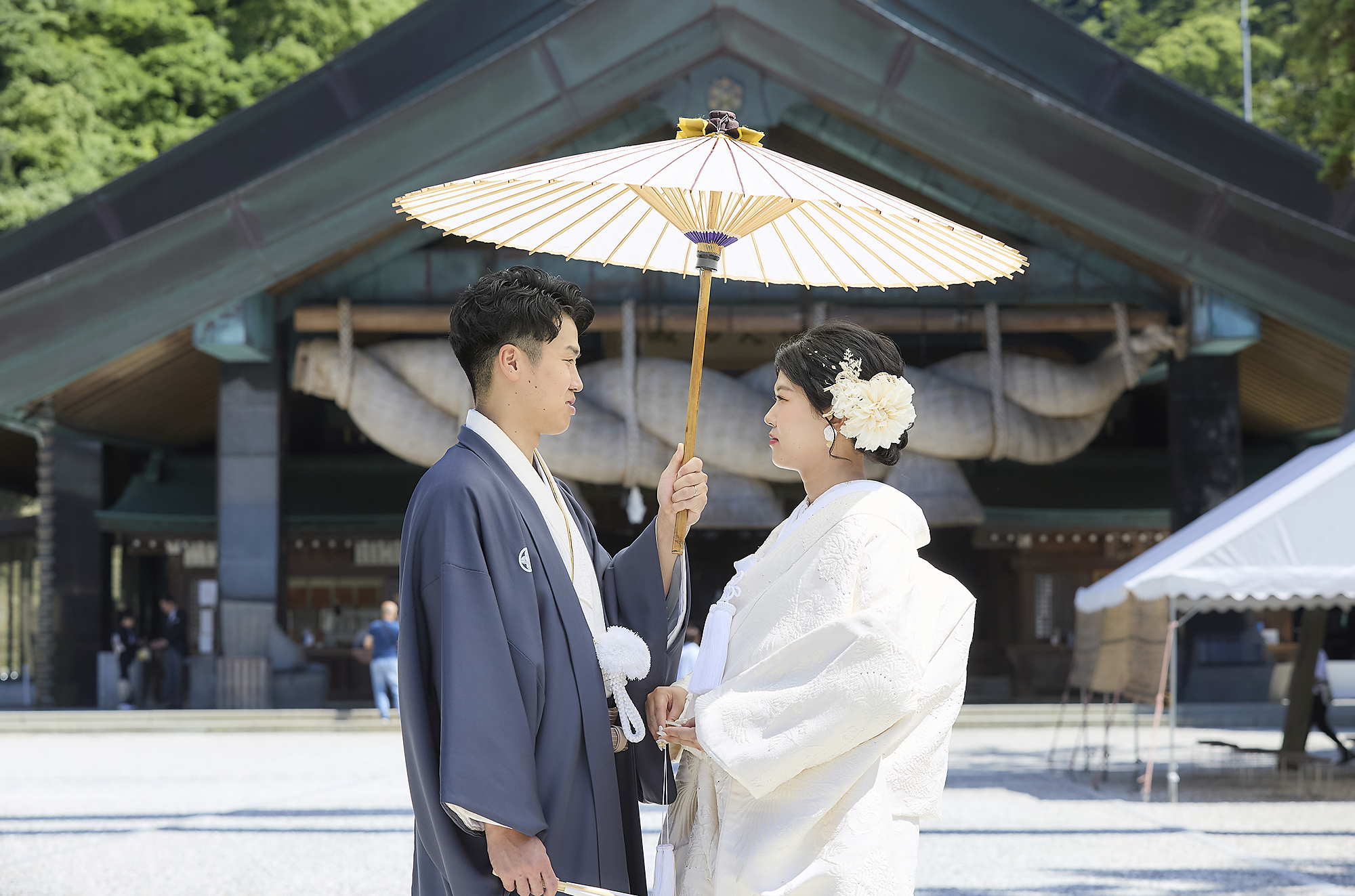 平日限定プラン